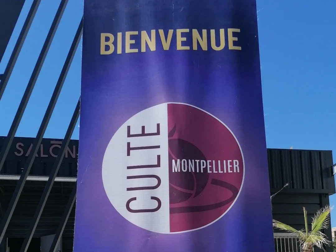 Acer Eglise De Montpellier — photo 1