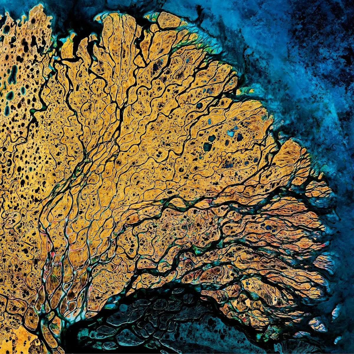 Amanni Galerie D'Art Toulousaine