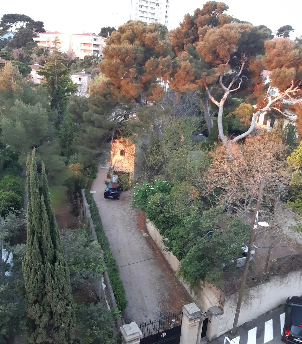 Aqua Spirit — photo 1