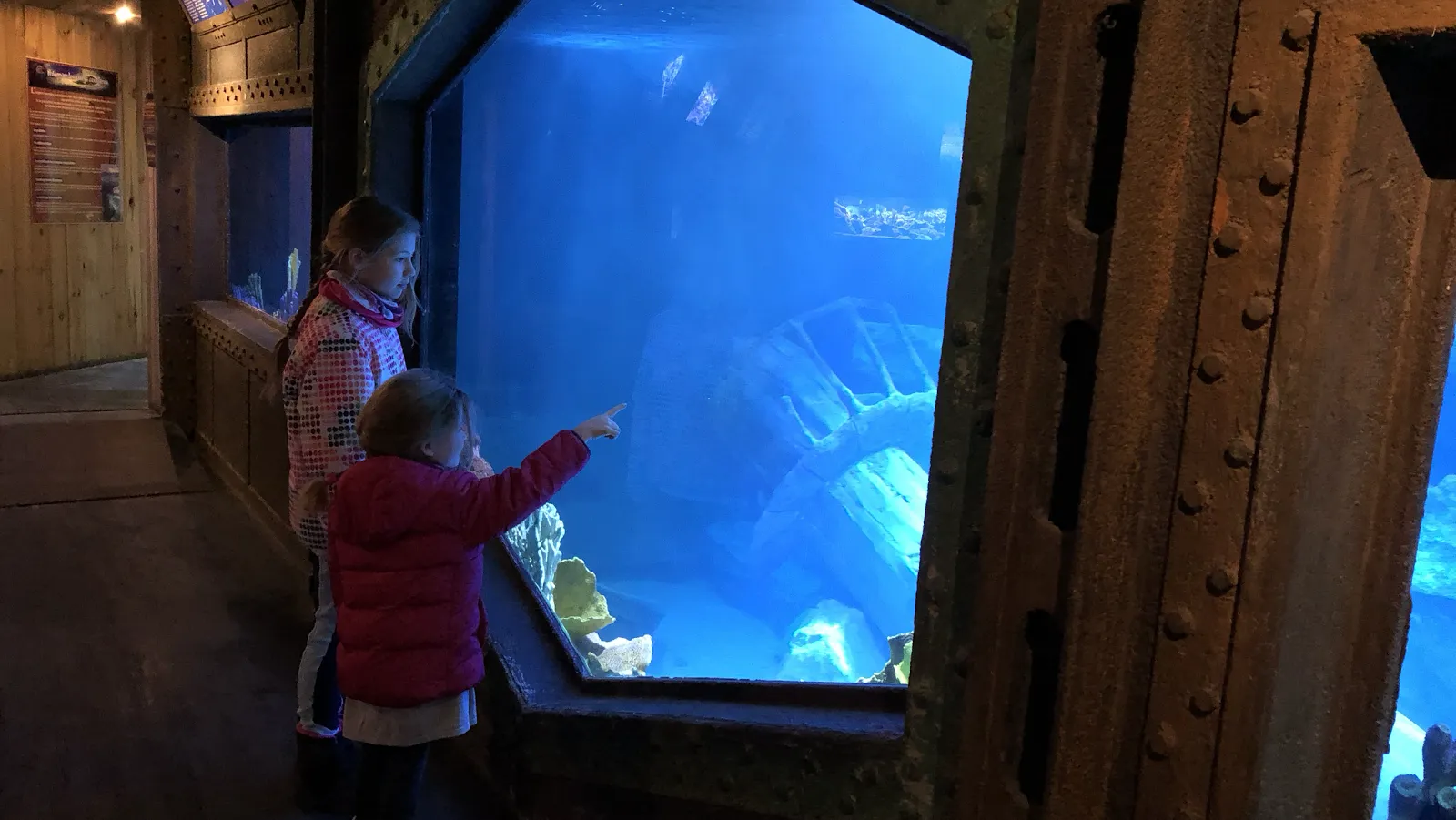 Aquarium D'Amnéville — photo 1