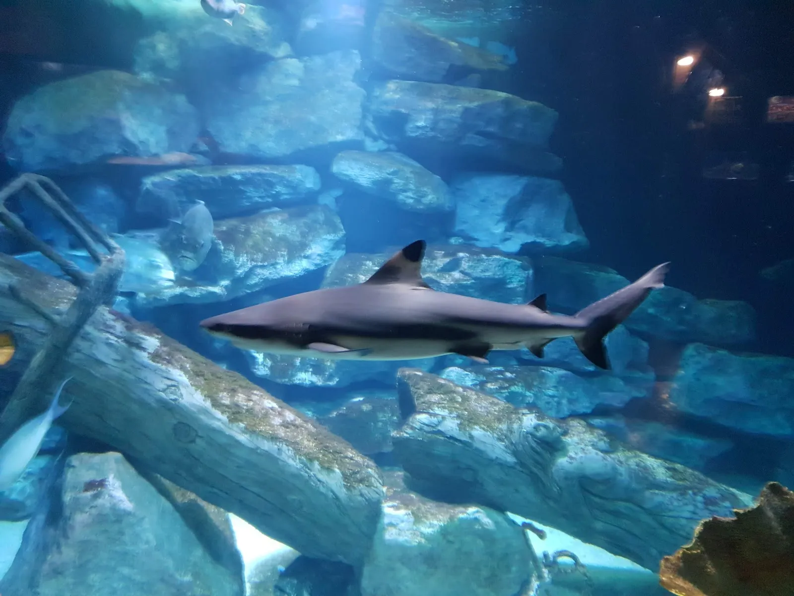 Aquarium D'Amnéville