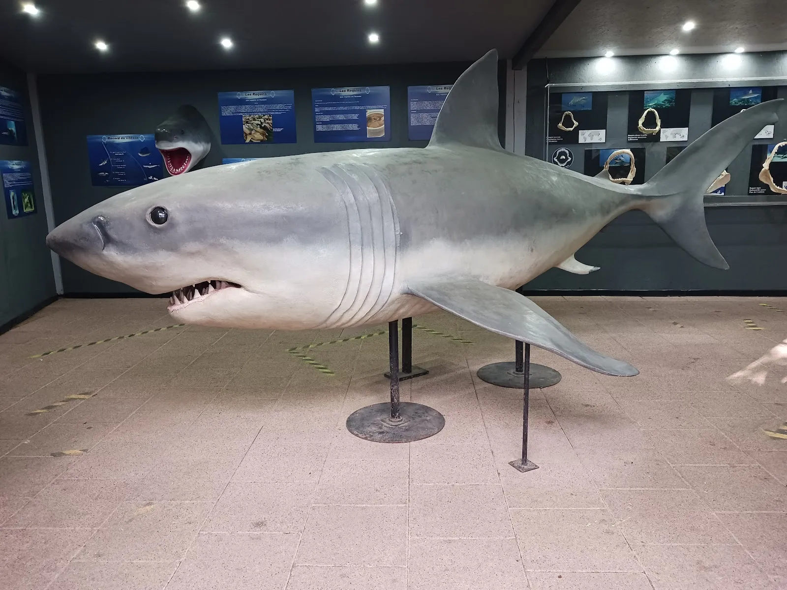 Aquarium D'Amnéville