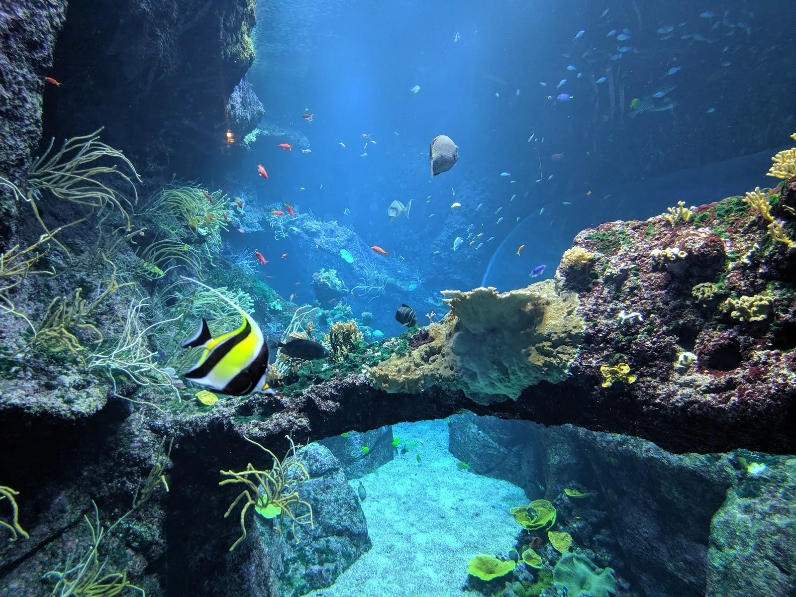 Aquarium De Biarritz