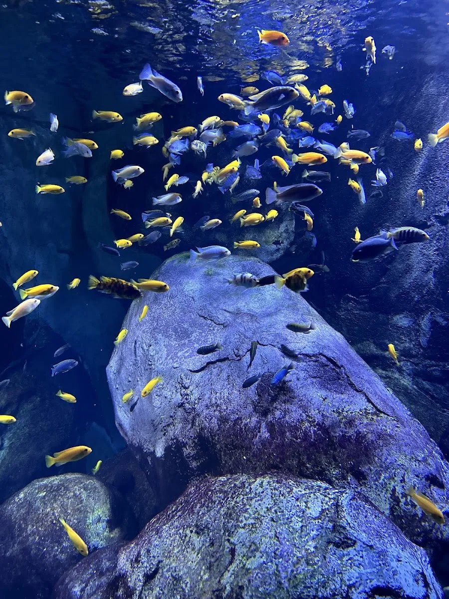 Aquarium De Lyon