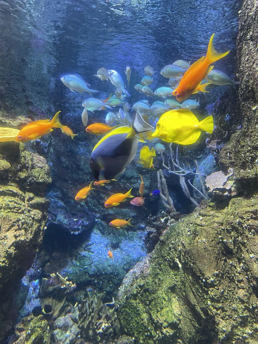 Aquarium De Paris
