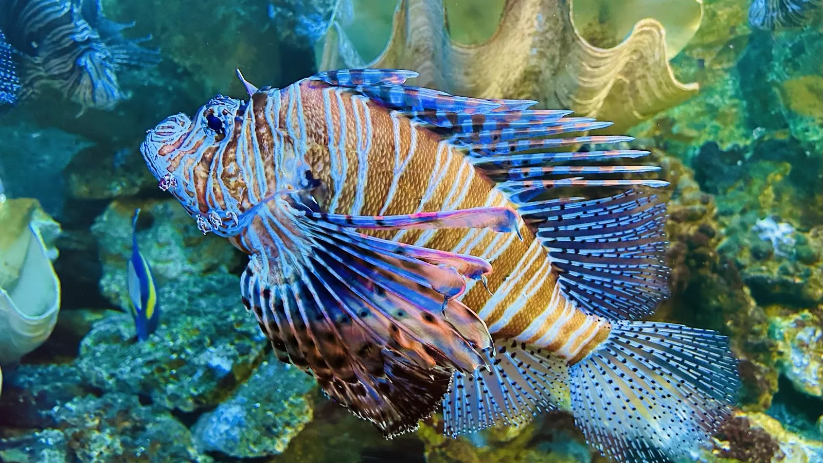Aquarium De Touraine