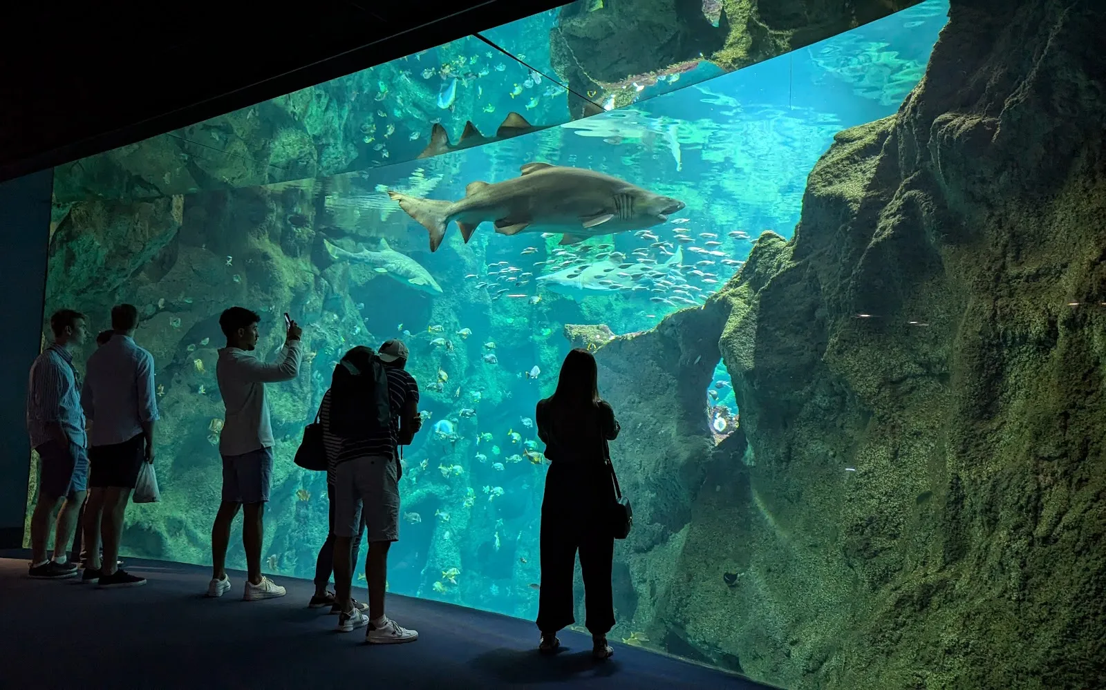 Aquarium la Rochelle