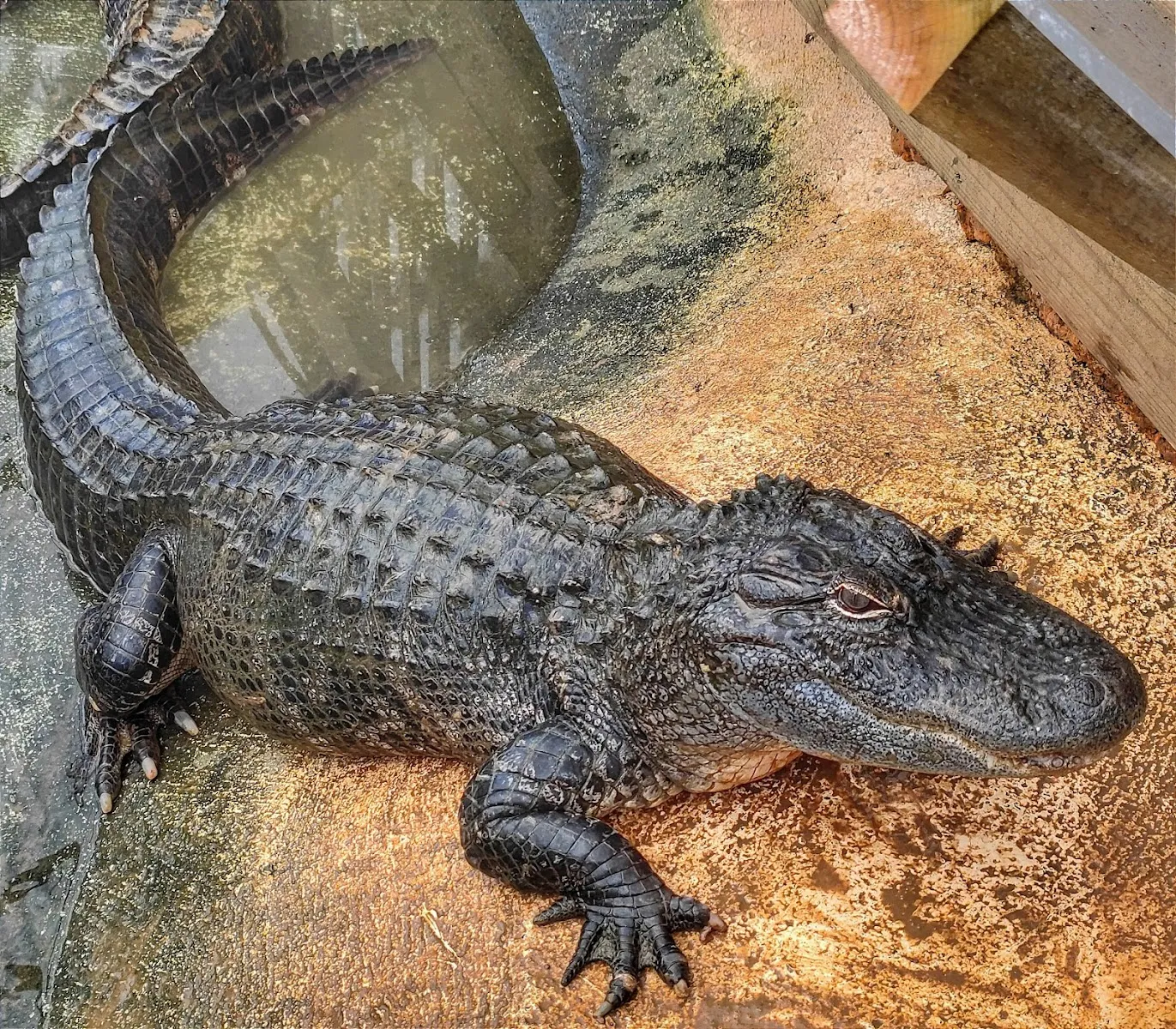 Aquarium Périgord Noir