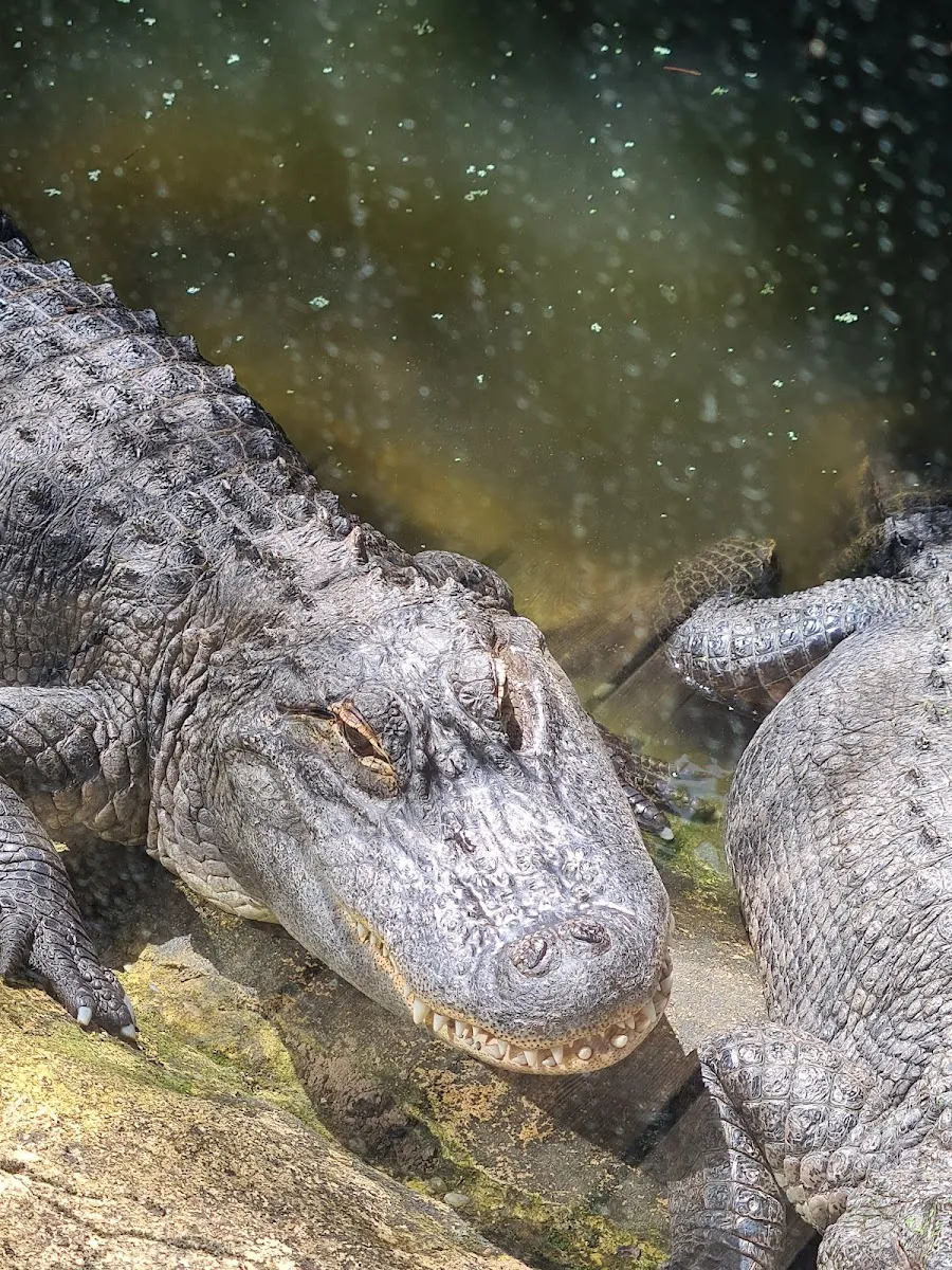 Aquarium Périgord Noir
