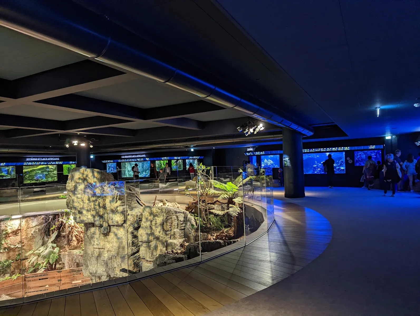 Aquarium Tropical — photo 1