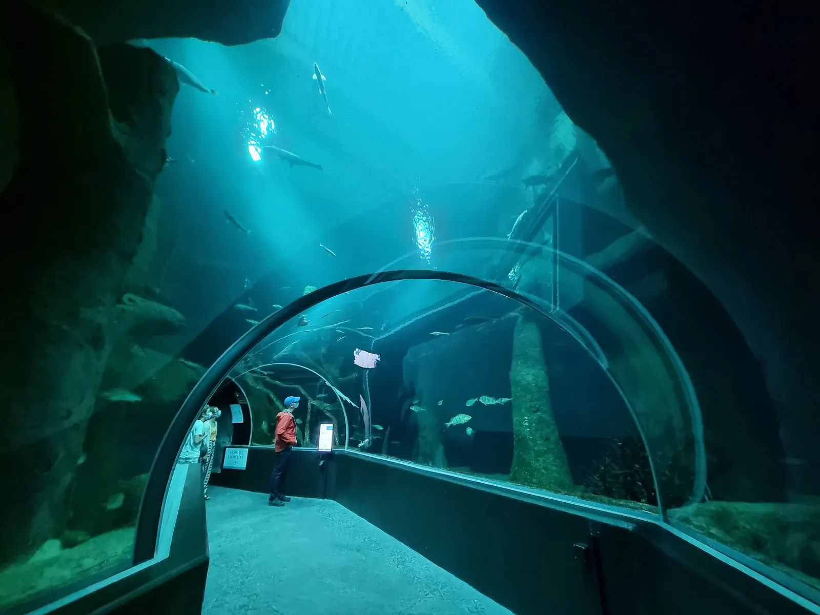 Aquatis Aquarium-Vivarium