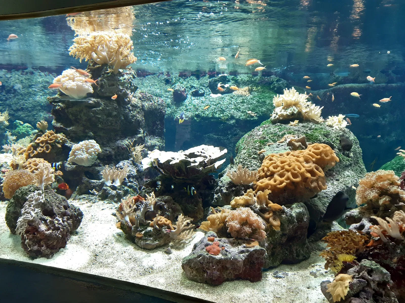 Aquatis Aquarium-Vivarium