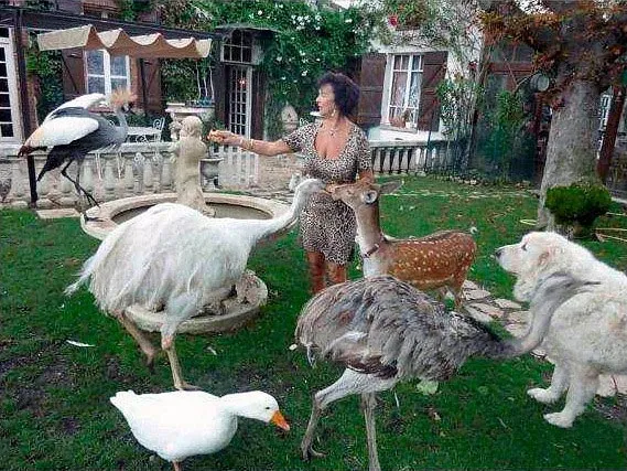 Arche De Noé De Solyange — photo 1