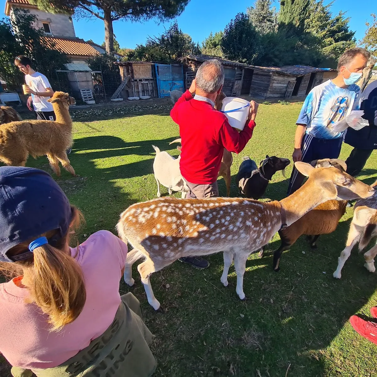 Arche De Noé De Solyange