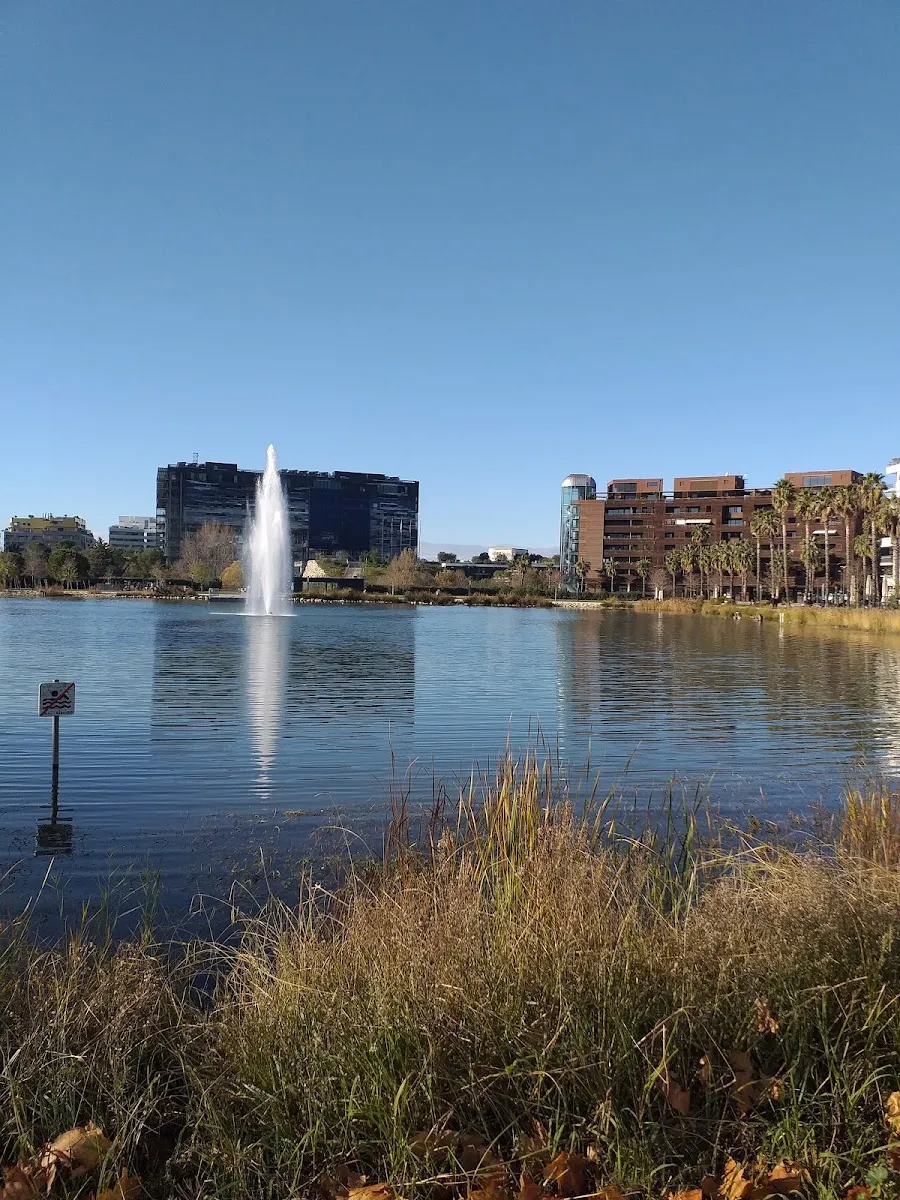 Bassin Jacques Cœur