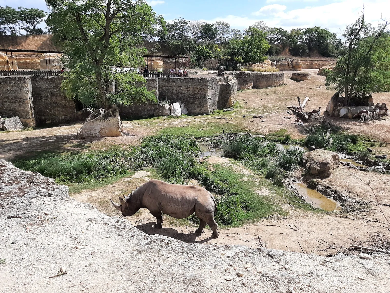 Bioparc De Doué la Fontaine