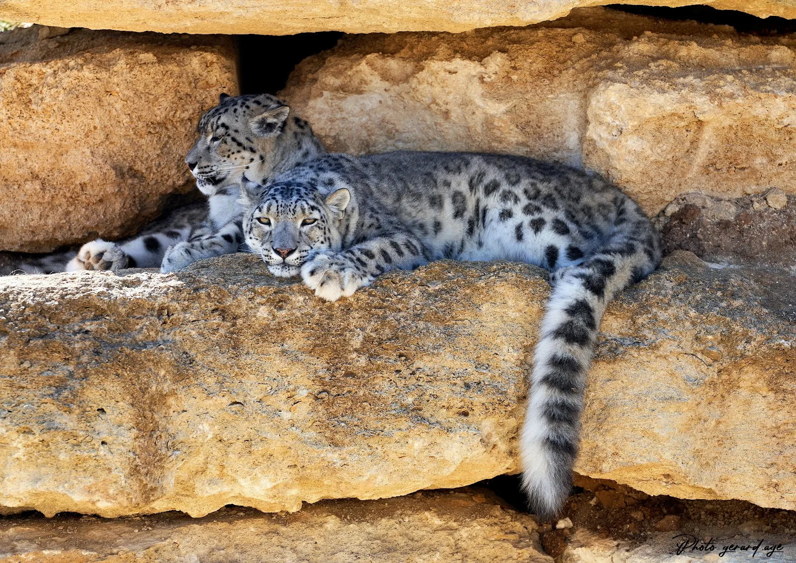 Bioparc De Doué la Fontaine