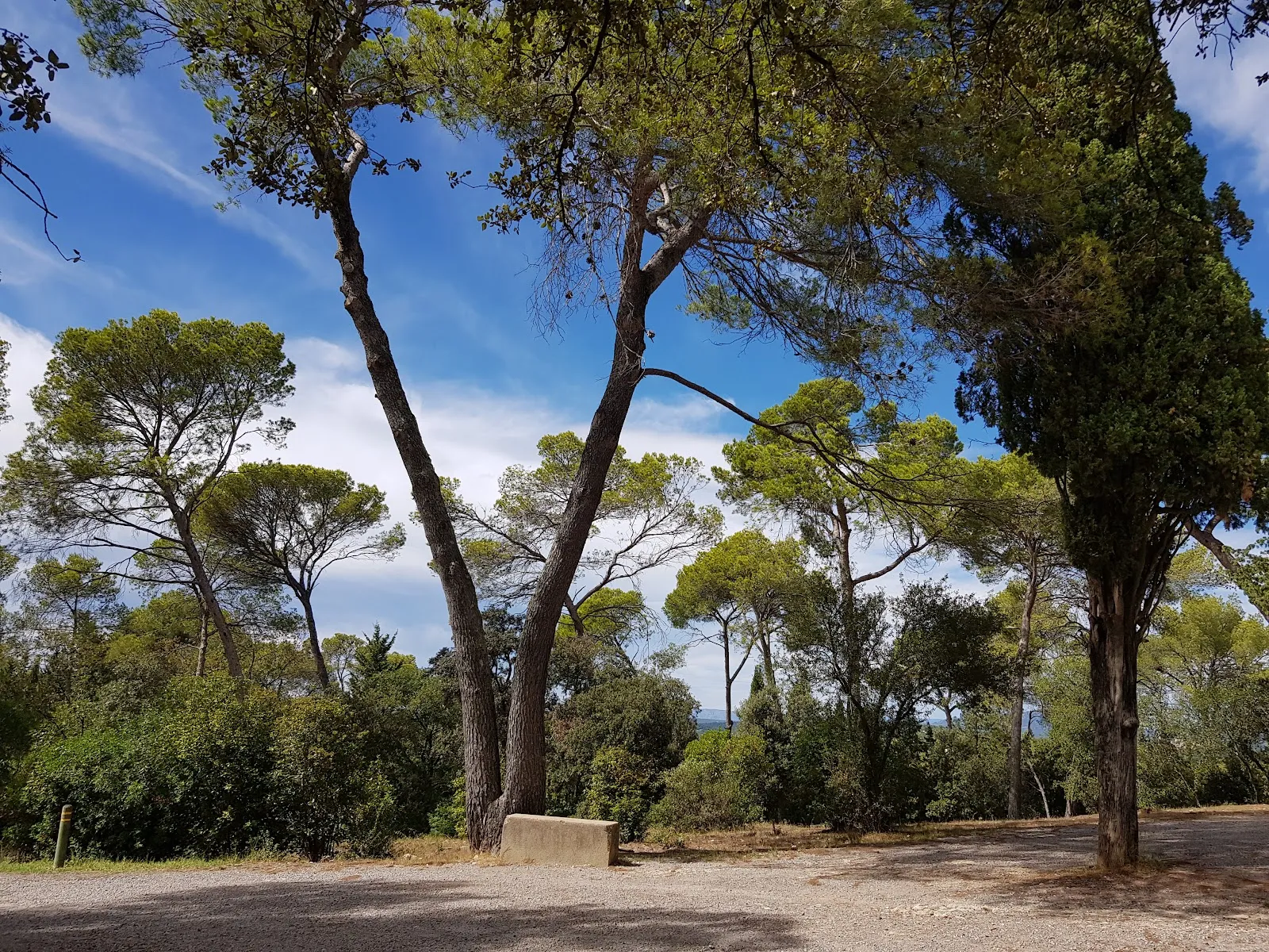 Bois De Montmaur — photo 1