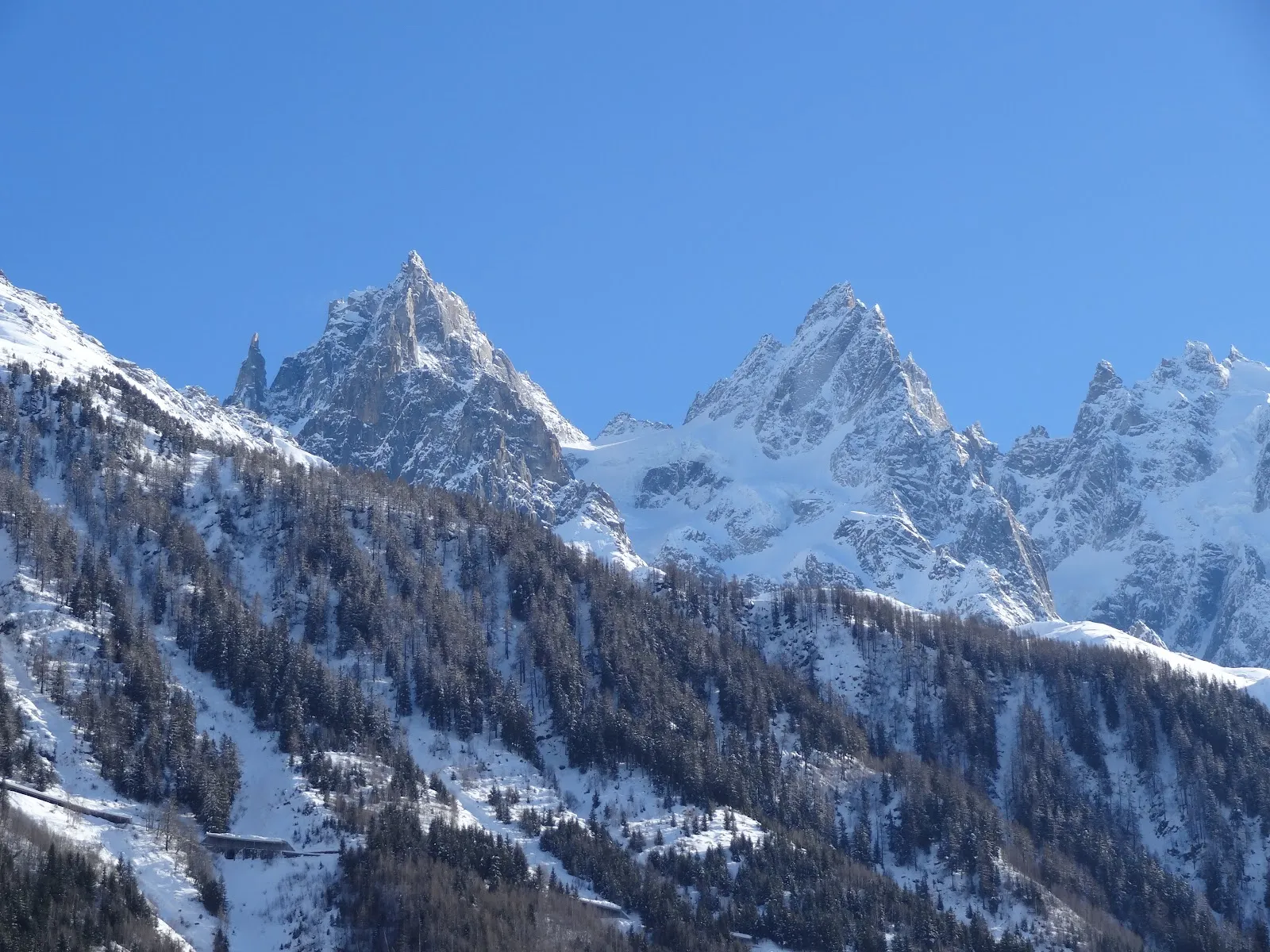 Bois Du Paradis — photo 1