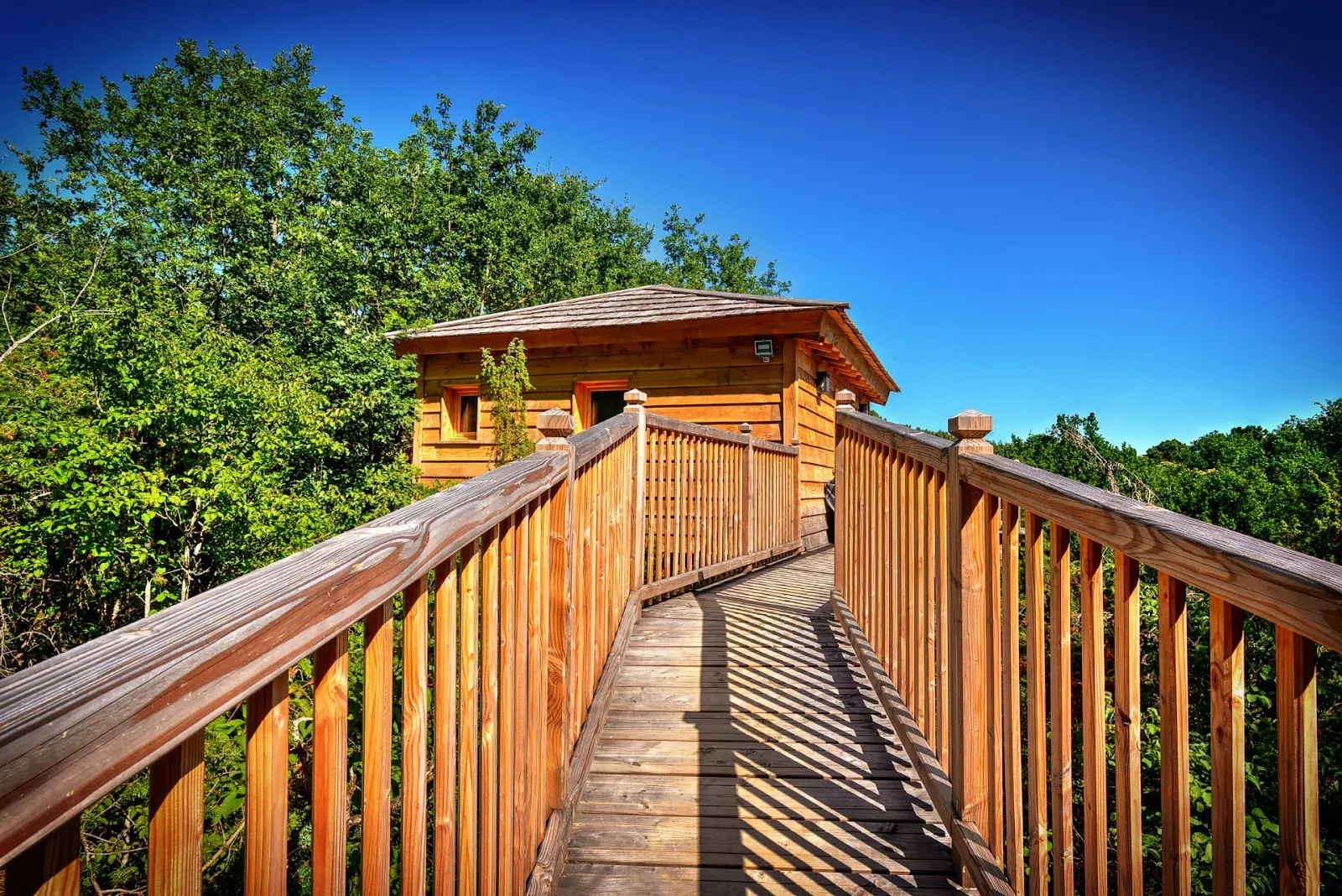 Cabanes Perchées & Spa Du Domaine De la Male — photo 1