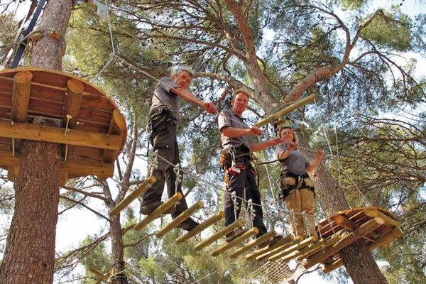 Cassisforest — photo 1