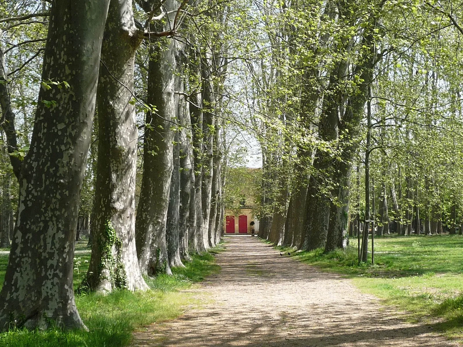 Château Des Évêques