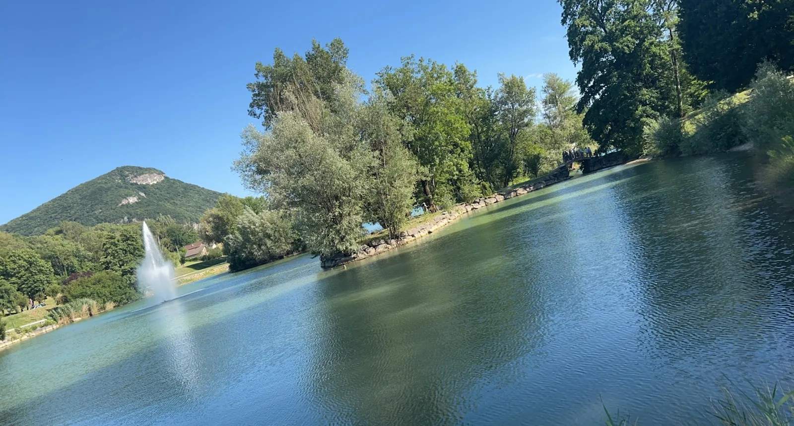 Collection Nationale De Cerisiers À Fleurs D'Asie