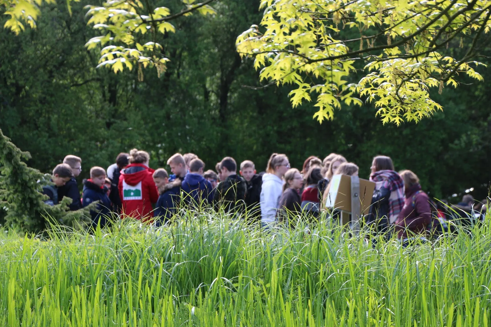 Conservatoire Botanique National Des Hauts-De-France — photo 1