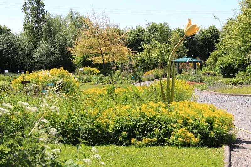 Conservatoire Botanique National Des Hauts-De-France