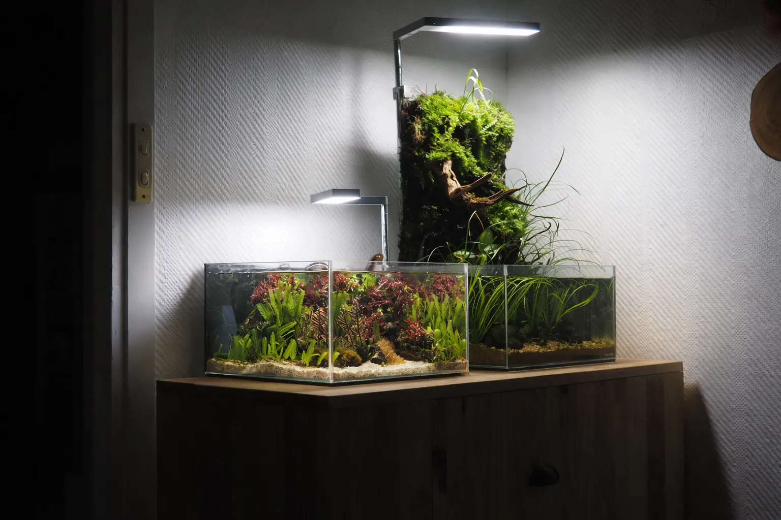 Design Aquarium Lille — photo 1