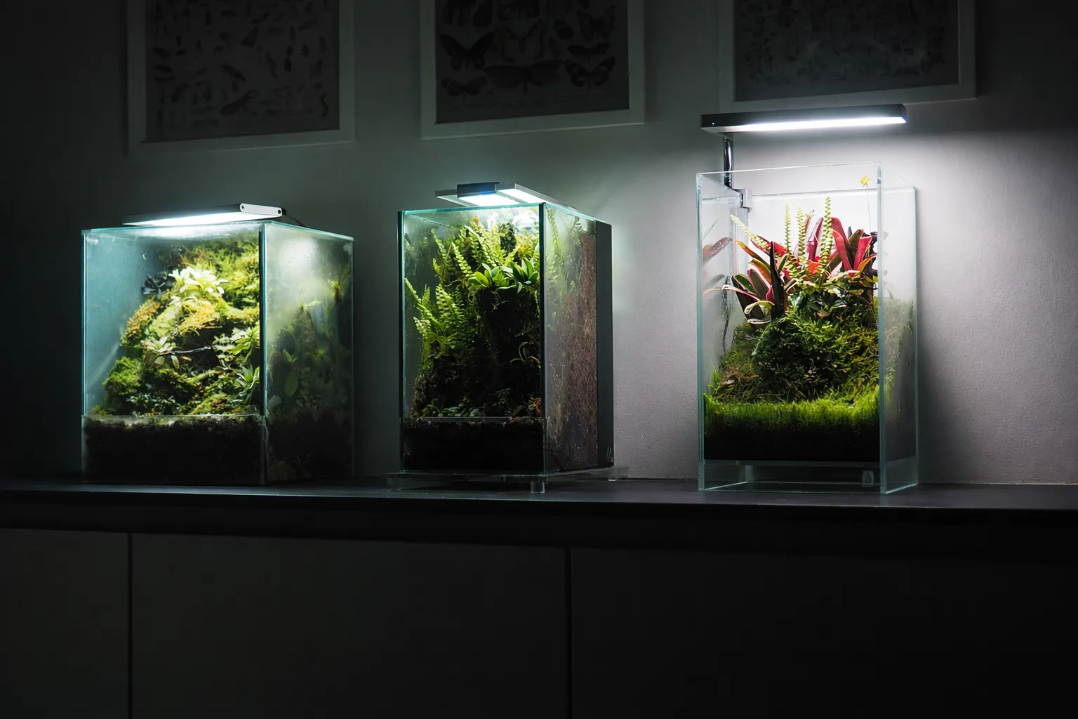 Design Aquarium Lille
