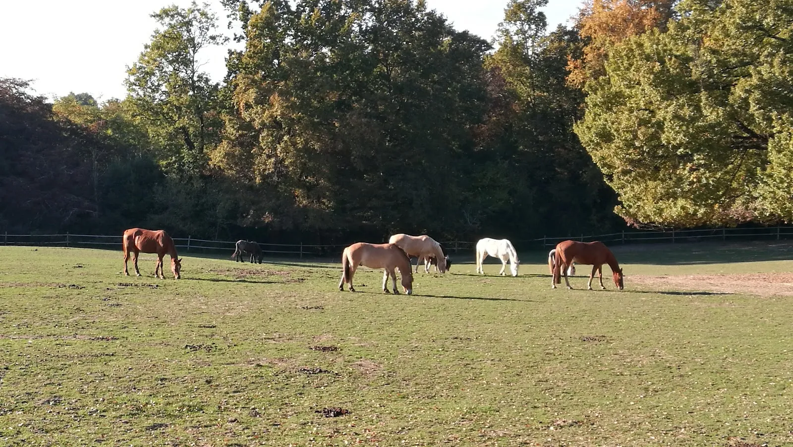 Domaine De la Burthe