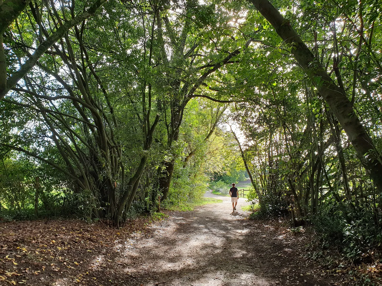 Domaine De la Burthe