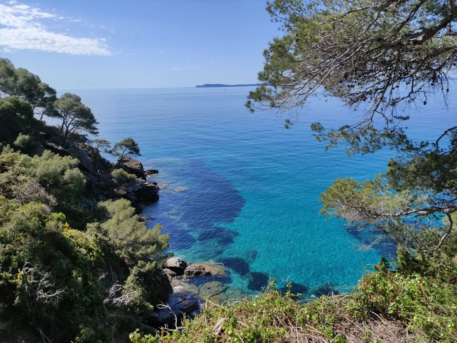 Domaine Du Rayol, le Jardin Des Méditerranées
