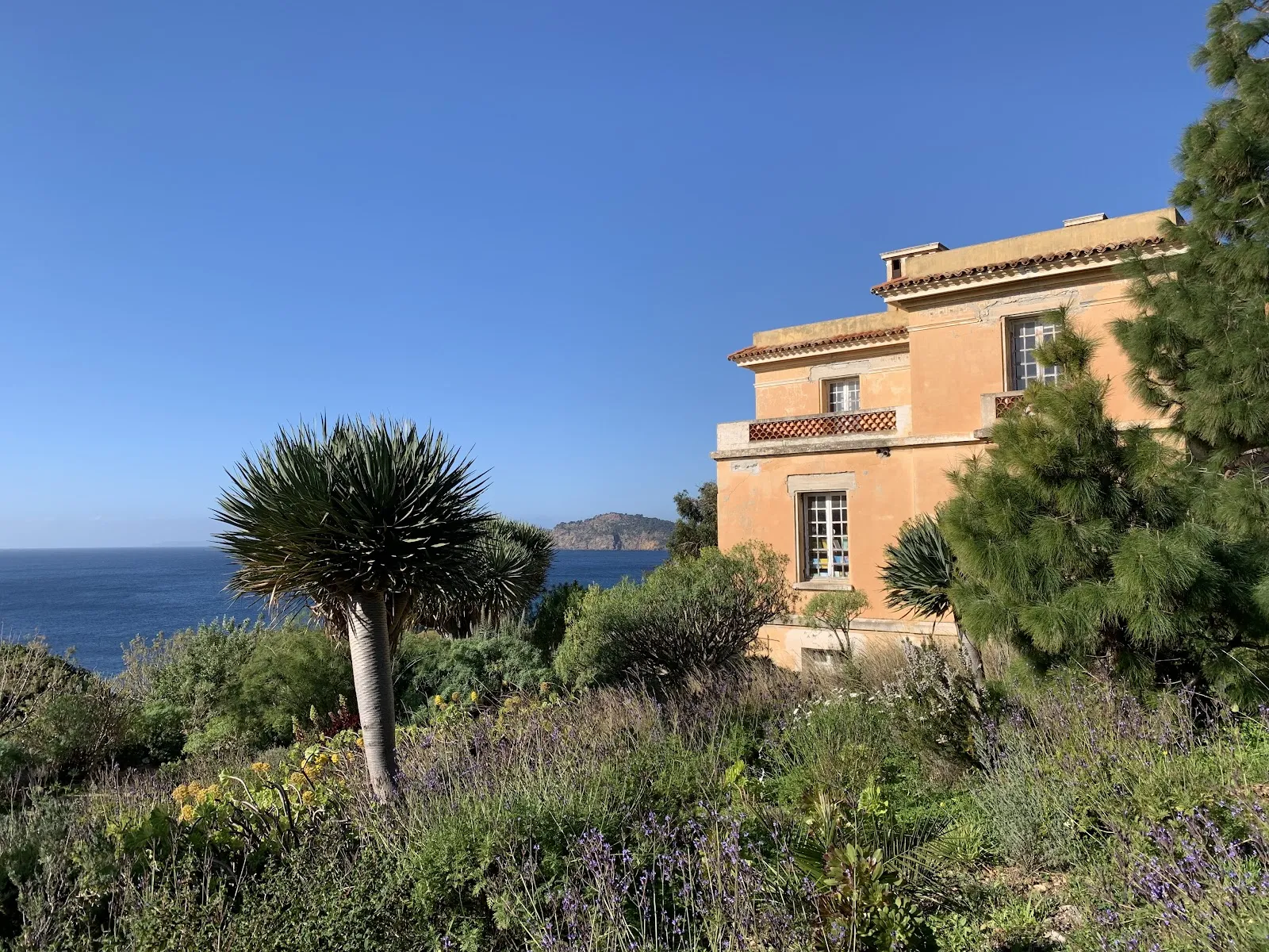 Domaine Du Rayol, le Jardin Des Méditerranées