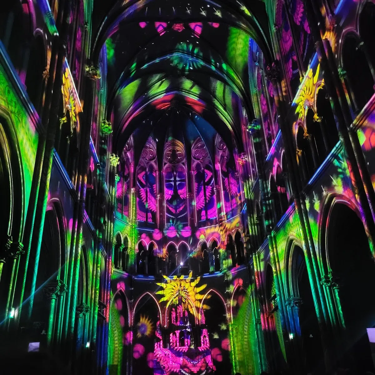 Eglise Du Gesù — photo 1