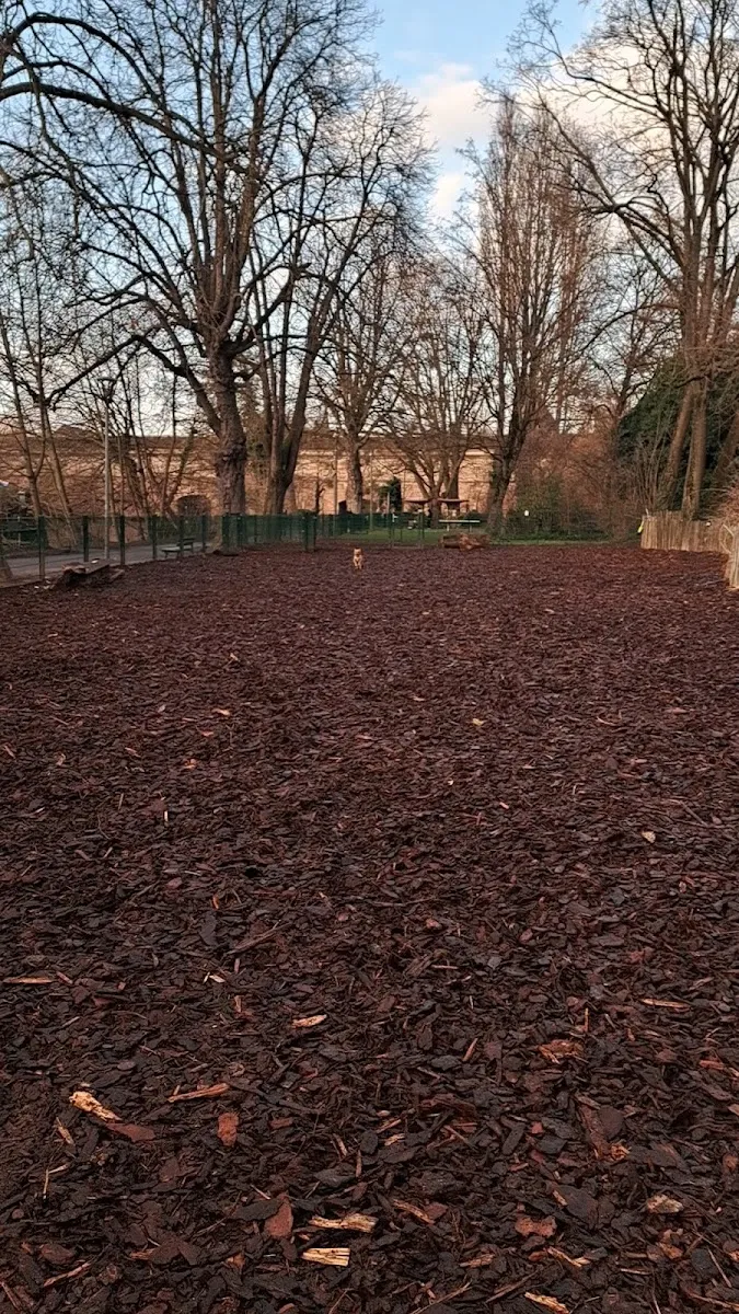 Espace Canin Clôturé