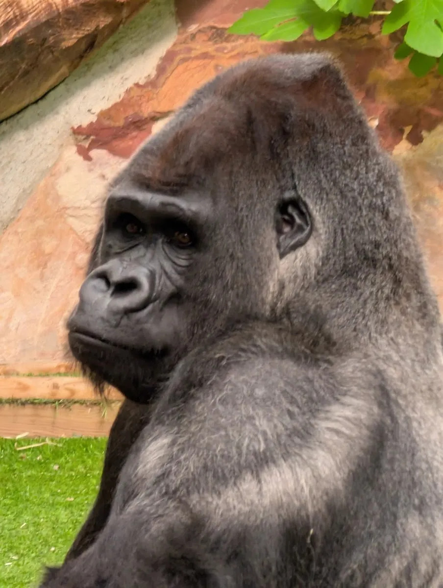 Espace Zoologique De Saint-Martin la Plaine