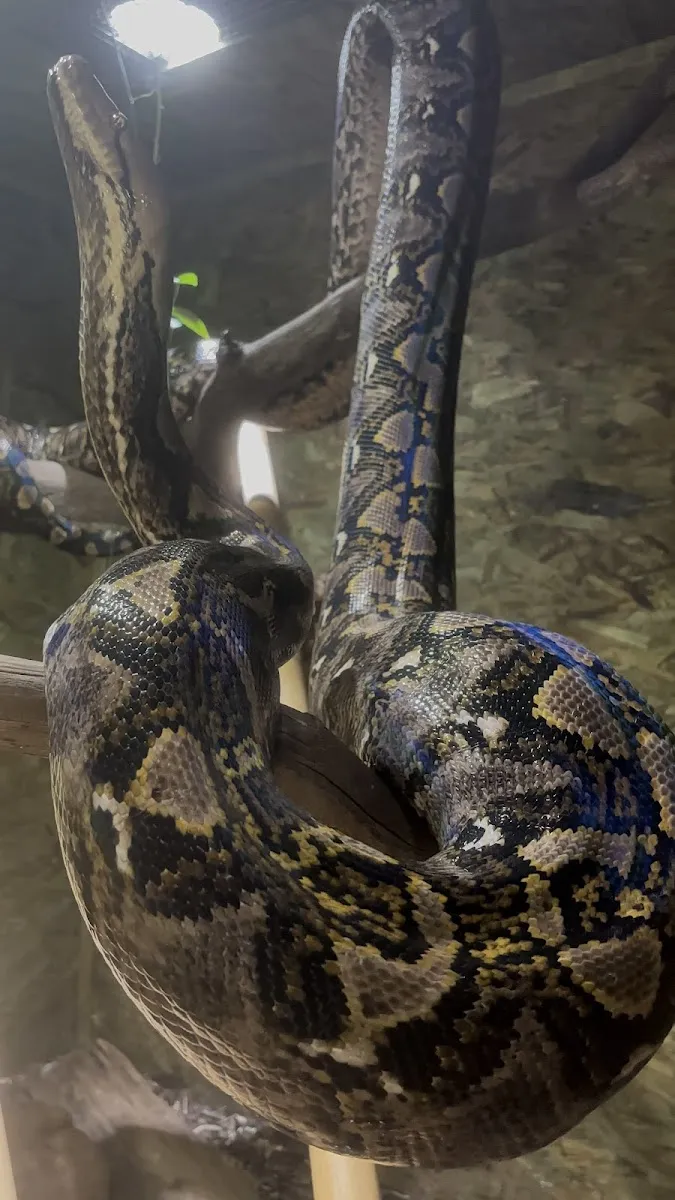 Espace Zoologique Exoticamis — photo 1