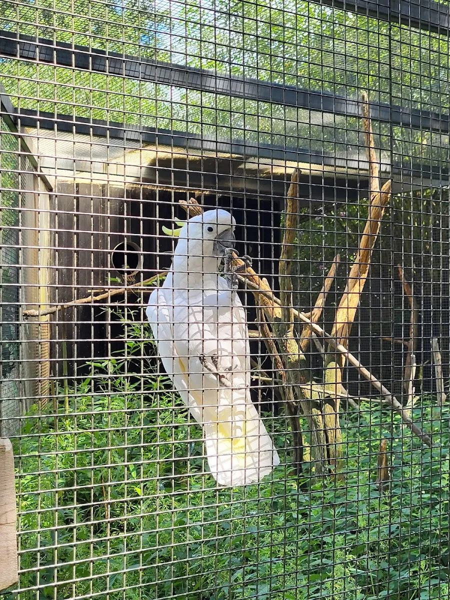 Espace Zoologique Exoticamis