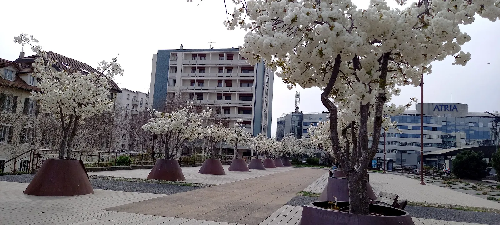 Esplanade Paul Grimault — photo 1