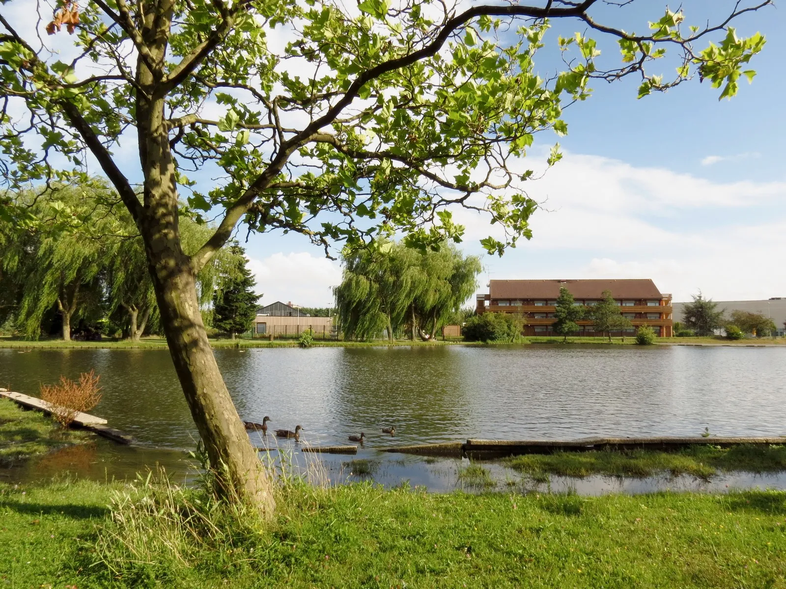Étang Du Parc Urbain De Lomme