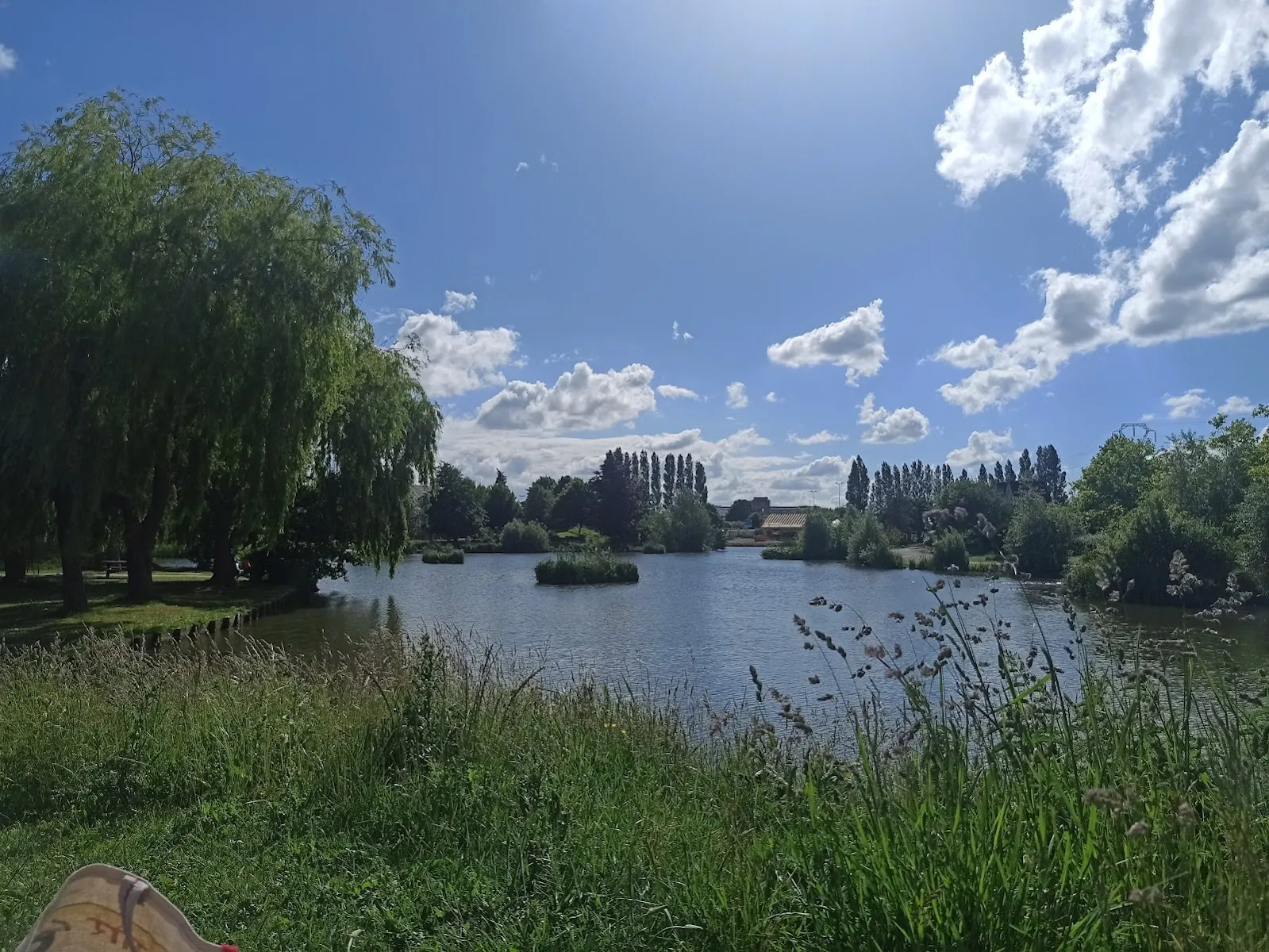 Étang Du Parc Urbain De Lomme