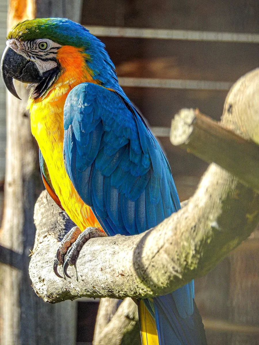 Exotic Park, Zoo De Lescar — photo 1