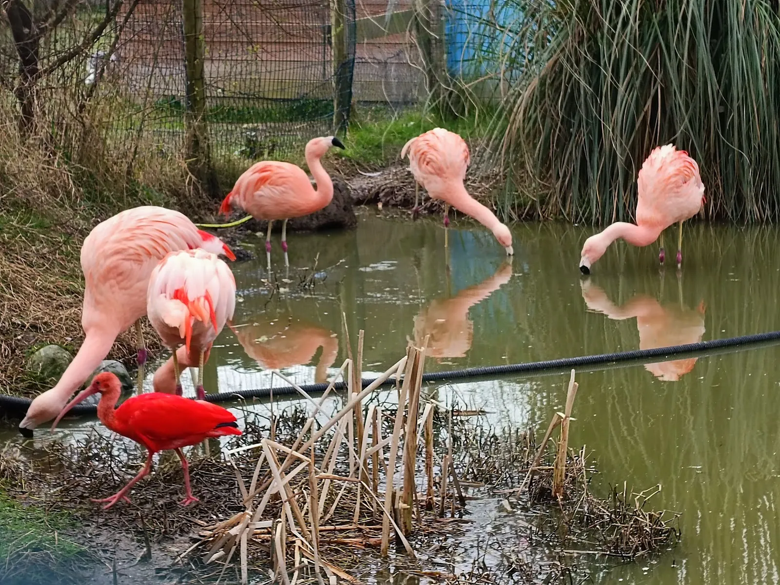 Exotic Park, Zoo De Lescar