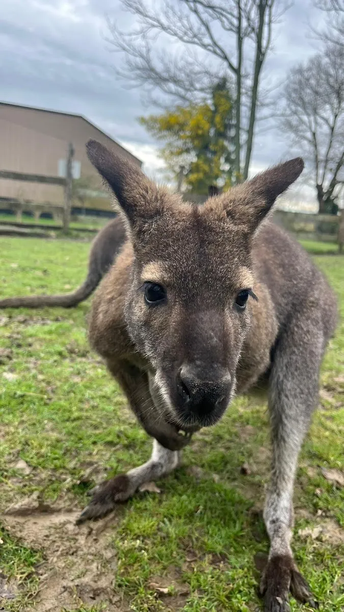 Exotic Park, Zoo De Lescar