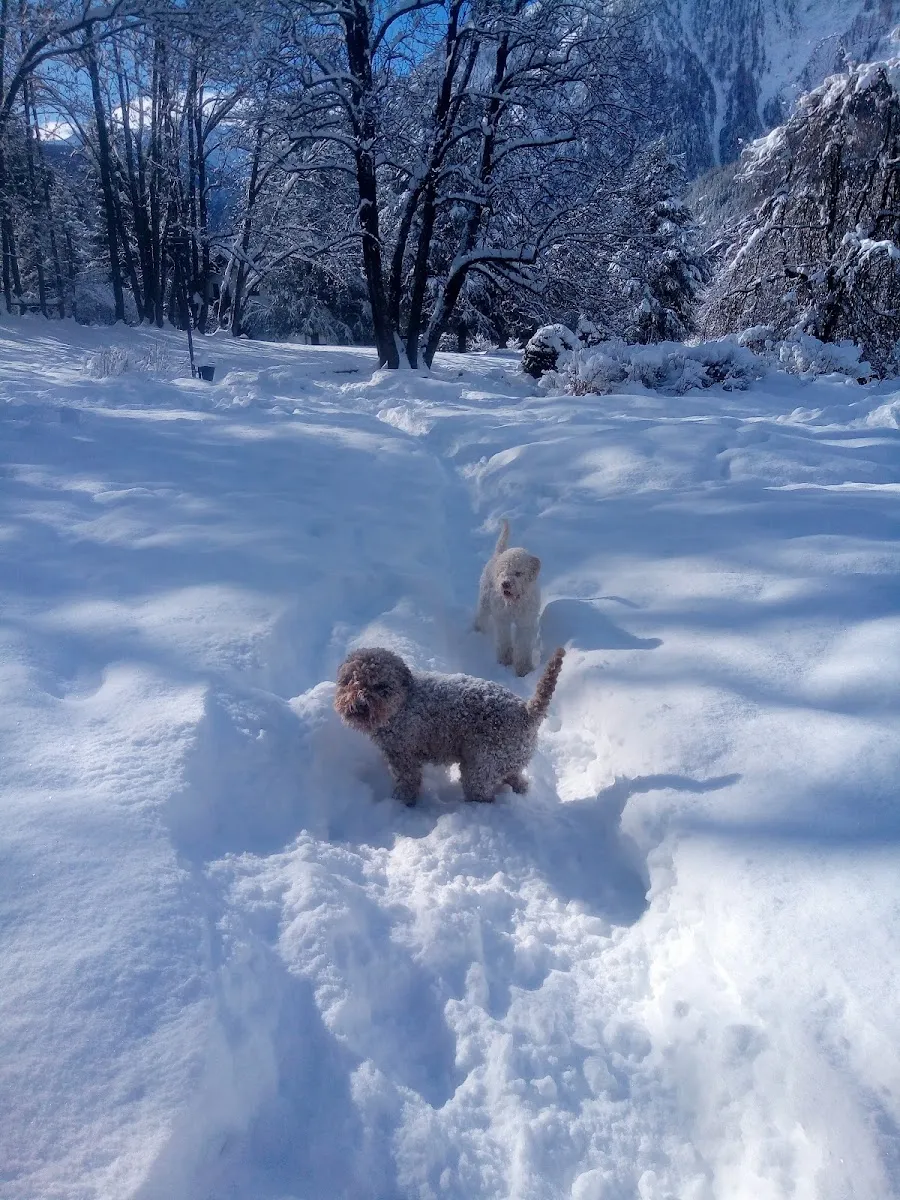 Francesca Giacomazzi