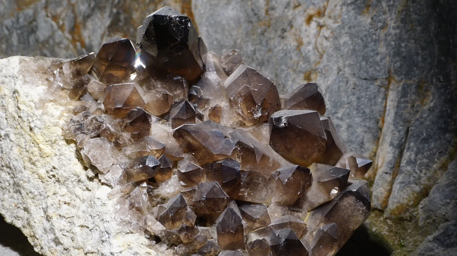 Galerie Des Cristaux