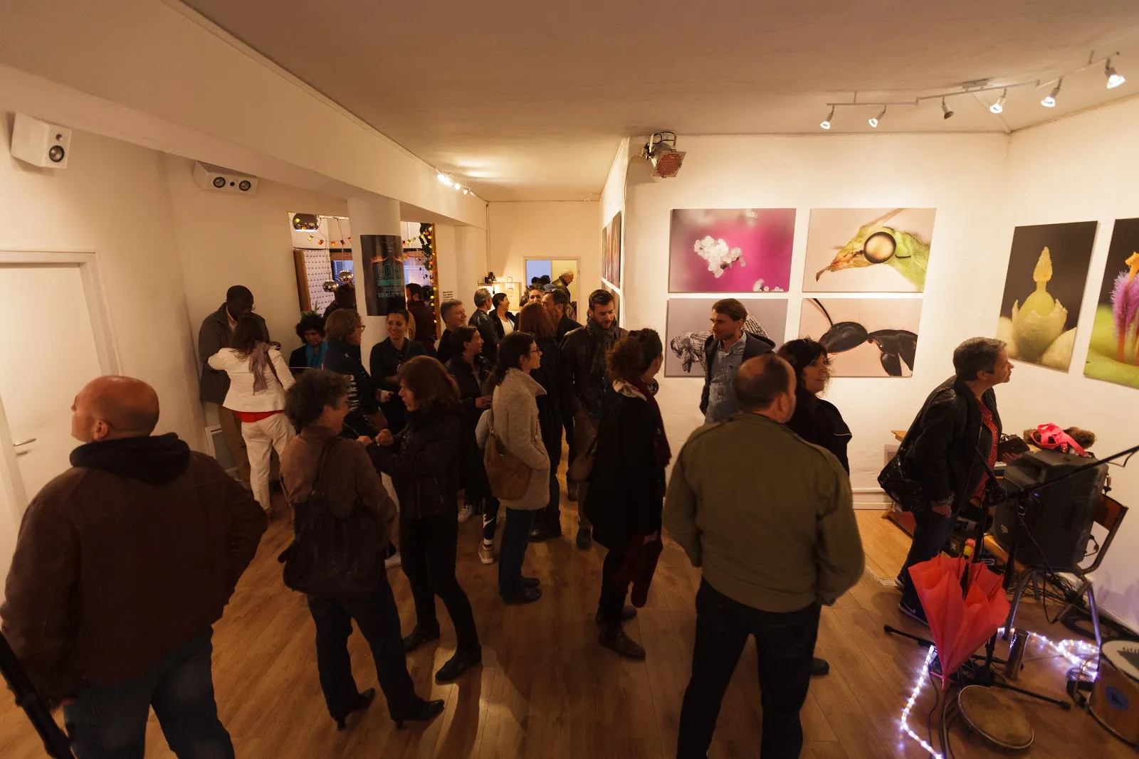 Galerie Du Bar À Photo