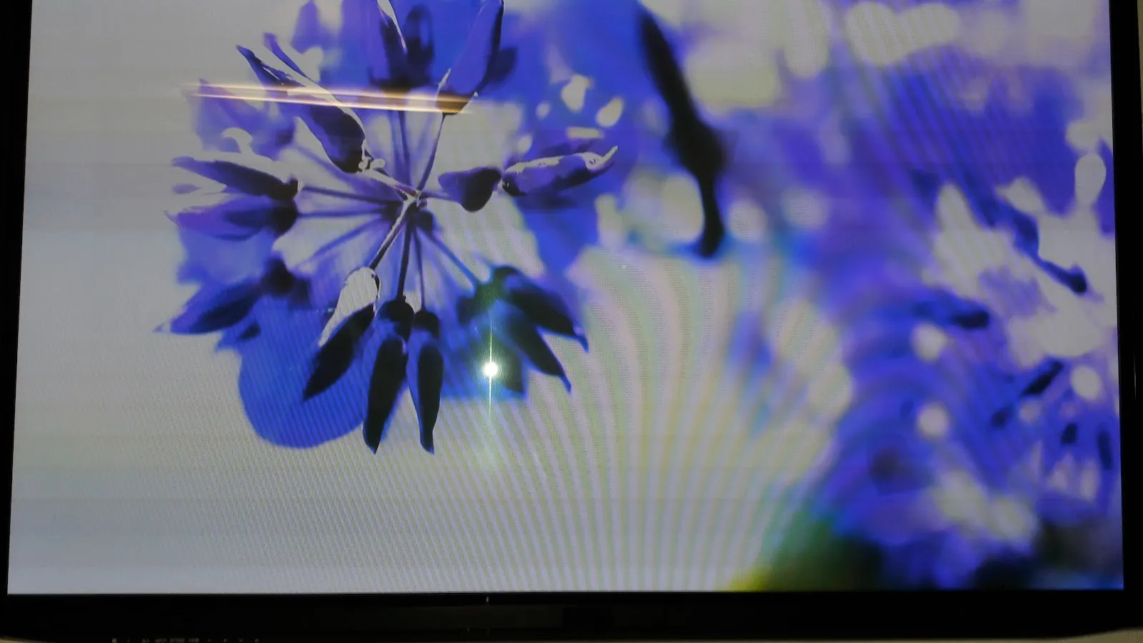 Galerie la Pierre Large